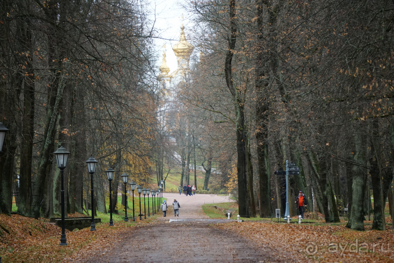 Петергоф, Россия. Парк Петергофского дворца. Часть II.