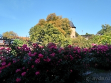 Саксония-Анхальт, Германия. Вернигероде - «Верный город» с морем фахверка. Часть I.