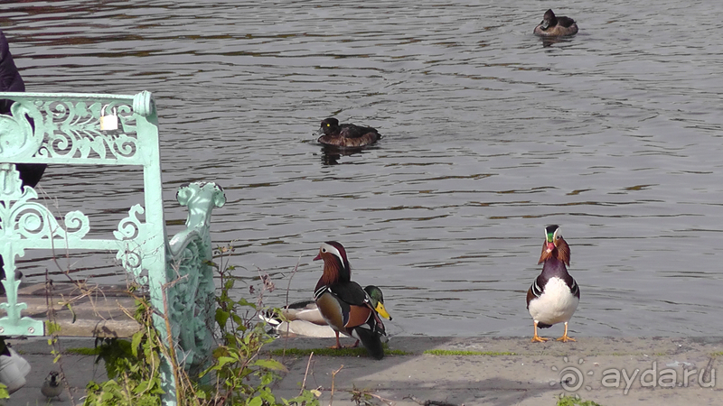  Берлин, Германия. Дворец и парк Шарлоттенбург.