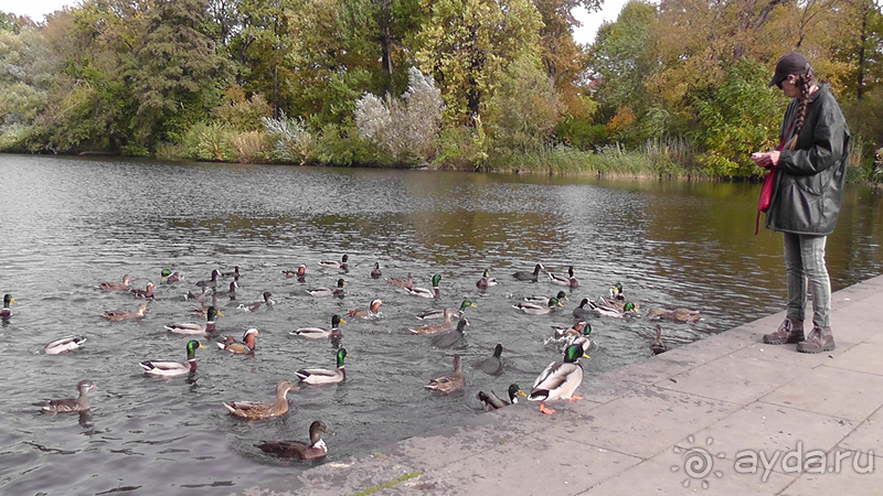  Берлин, Германия. Дворец и парк Шарлоттенбург.
