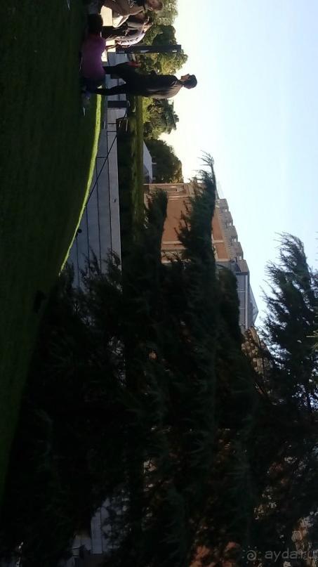 Мадрид. «Вы прекрасны, мой король!». День первый-II.