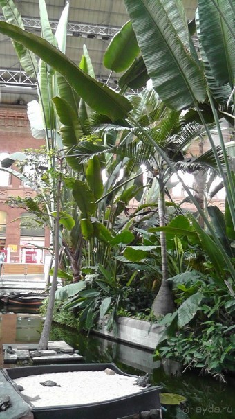 Мадрид. «Вы прекрасны, мой король!». День первый-II.