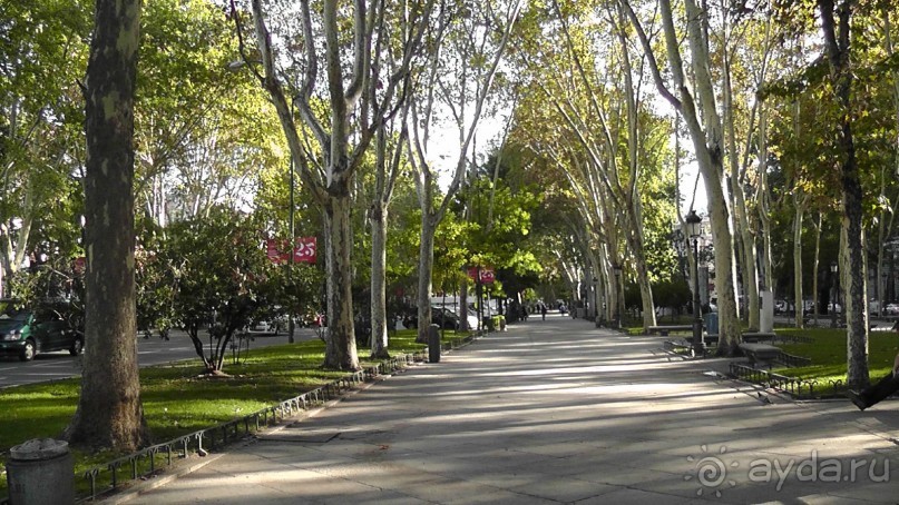 Мадрид. «Вы прекрасны, мой король!». День первый-II.