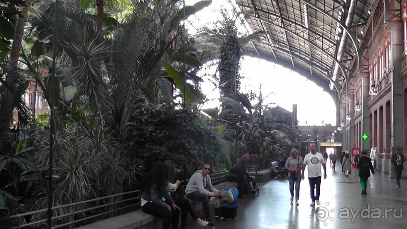 Мадрид. «Вы прекрасны, мой король!». День первый-II.