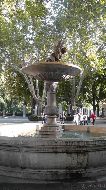 Мадрид. «Вы прекрасны, мой король!». День первый-II.