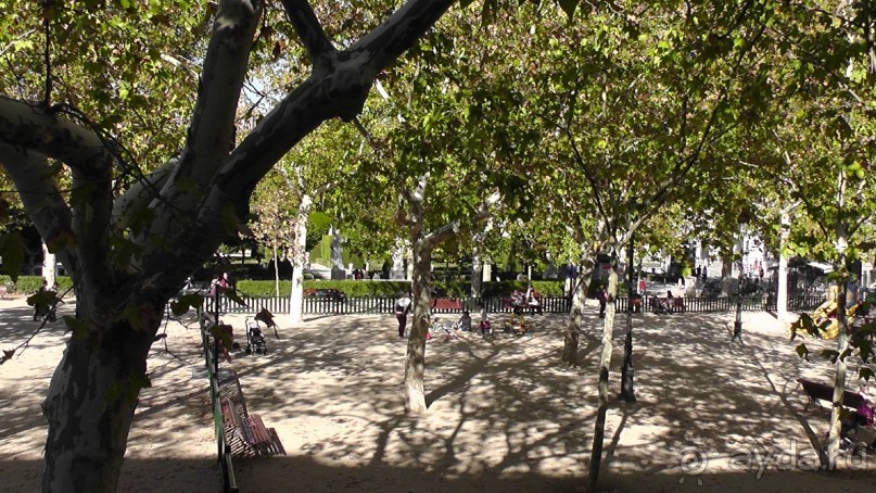 Мадрид. «Вы прекрасны, мой король!». День первый-II.