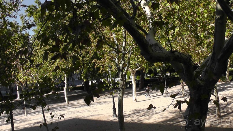 Мадрид. «Вы прекрасны, мой король!». День первый-II.