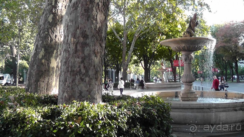 Мадрид. «Вы прекрасны, мой король!». День первый-II.