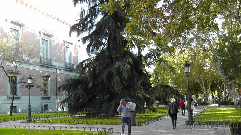 Мадрид. «Вы прекрасны, мой король!». День первый-II.