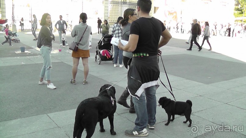 Мадрид. «Вы прекрасны, мой король!». День первый-II.