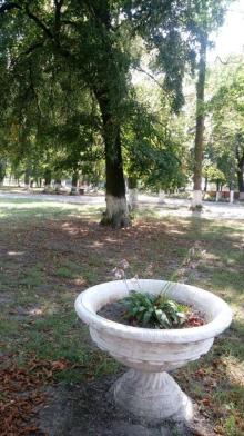 Радомышль, Житомирской области – «радуйся, мысль!»