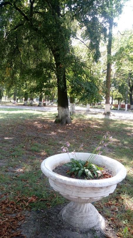 Радомышль, Житомирской области – «радуйся, мысль!»