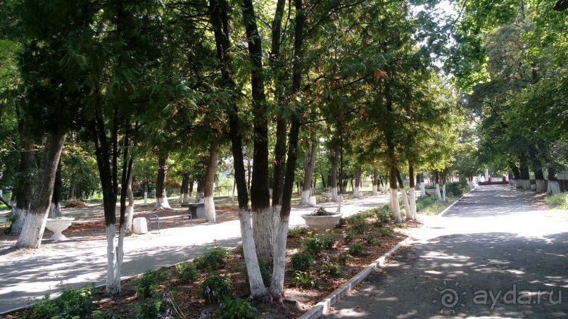 Радомышль, Житомирской области – «радуйся, мысль!»