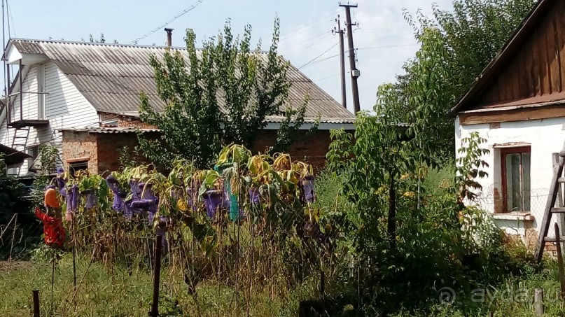 Радомышль, Житомирской области – «радуйся, мысль!»