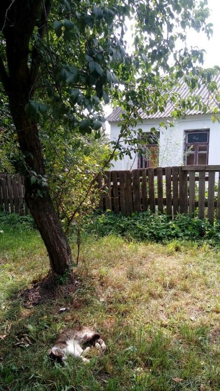 Радомышль, Житомирской области – «радуйся, мысль!»