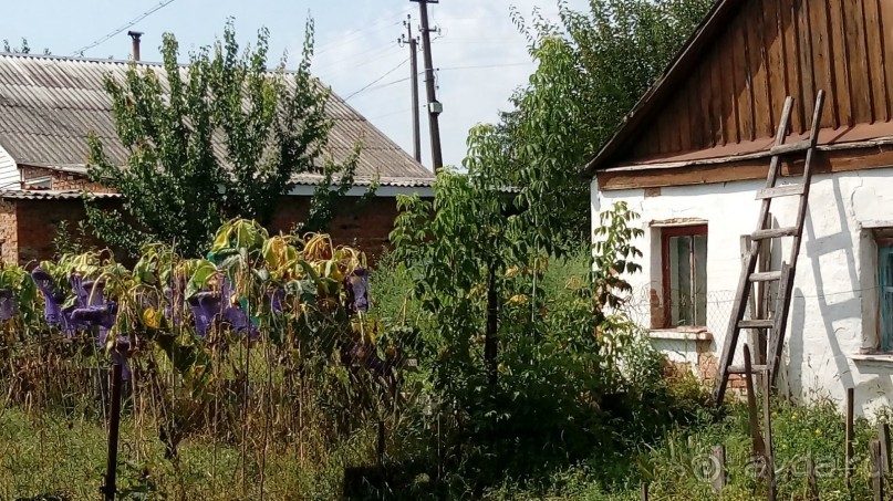 Радомышль, Житомирской области – «радуйся, мысль!»