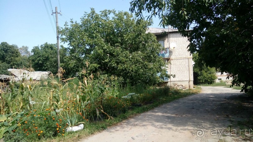 Радомышль, Житомирской области – «радуйся, мысль!»