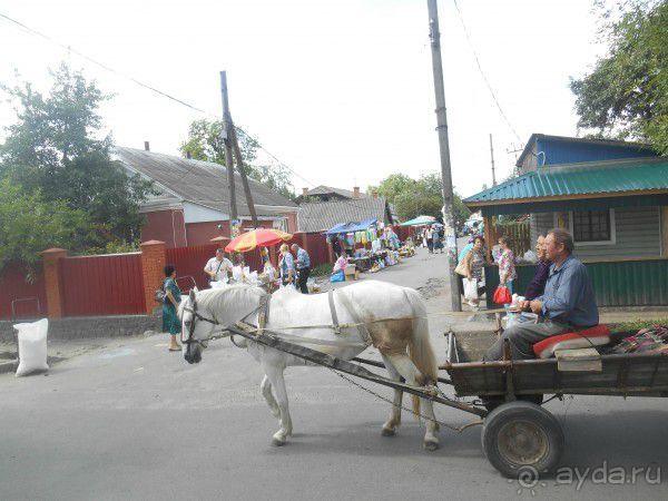 Радомышль, Житомирской области – «радуйся, мысль!»