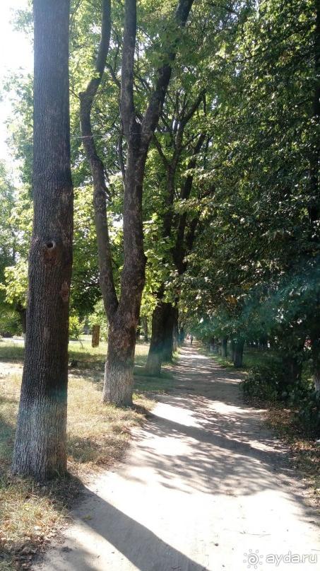 Радомышль, Житомирской области – «радуйся, мысль!»