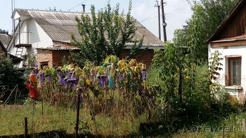 Радомышль, Житомирской области – «радуйся, мысль!»