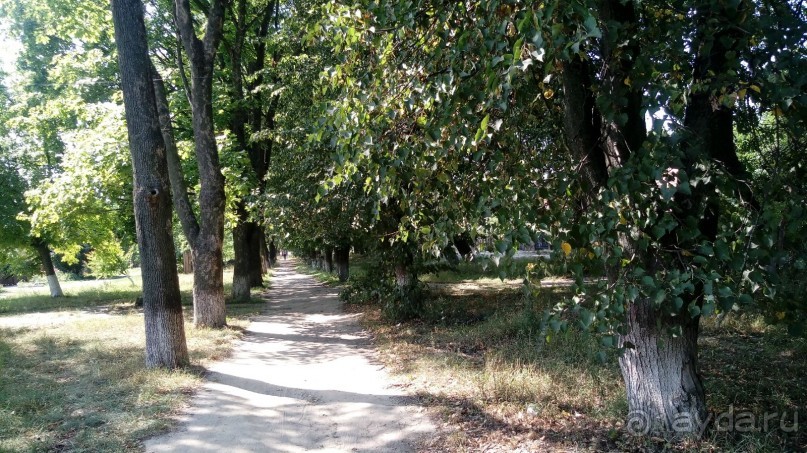 Радомышль, Житомирской области – «радуйся, мысль!»