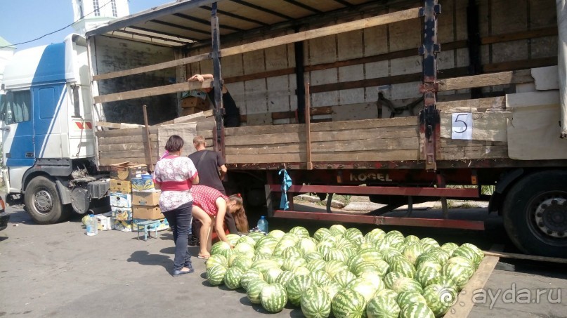 Радомышль, Житомирской области – «радуйся, мысль!»