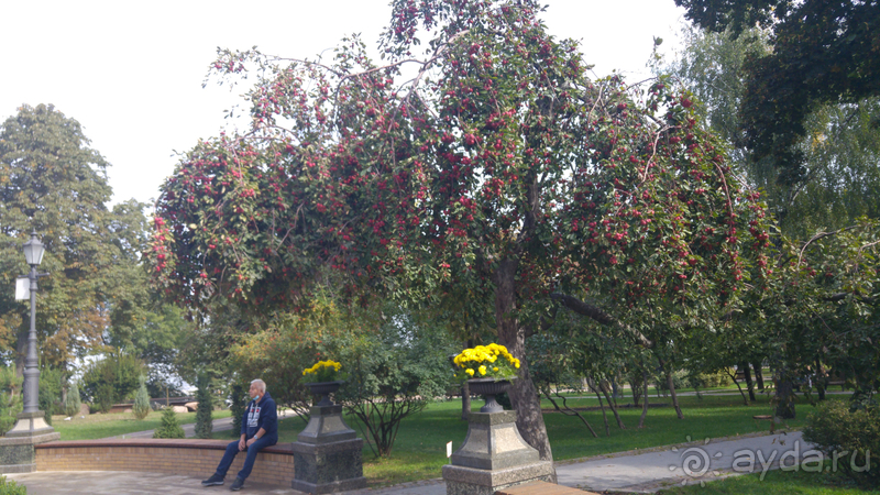 Альбом отзыва "г.Киев, Владимирская горка - место "силы" и истории государства."