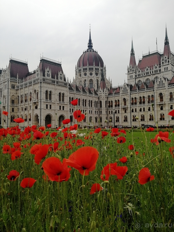 фото Kaliopa Beac (ex. Lenna Beach, ex.Sahara Beach