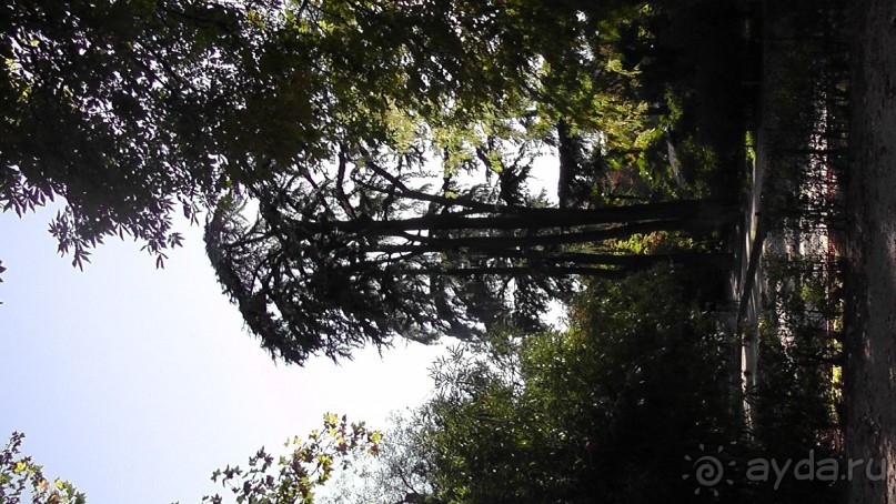 Мадрид. Вы прекрасны, мой король!