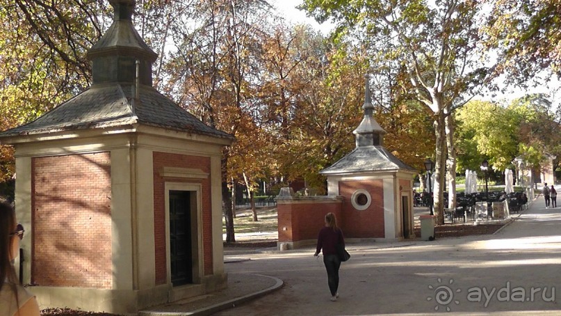 Мадрид. Вы прекрасны, мой король!