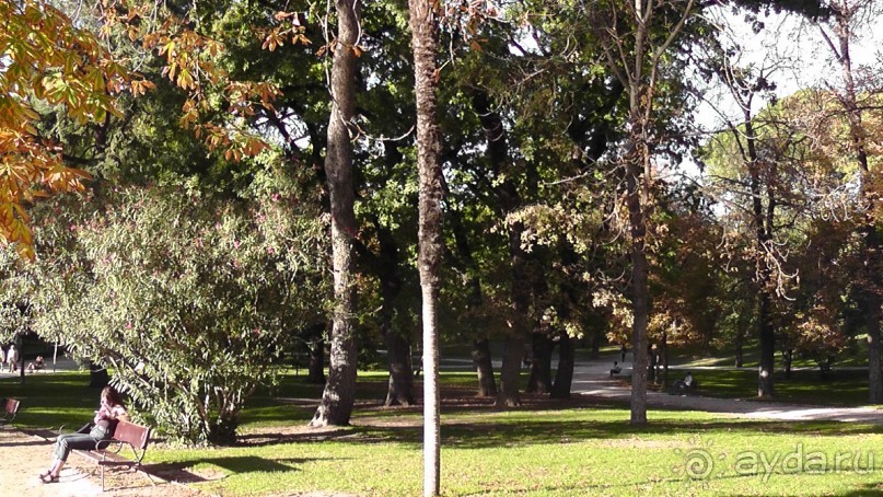 Мадрид. Вы прекрасны, мой король!