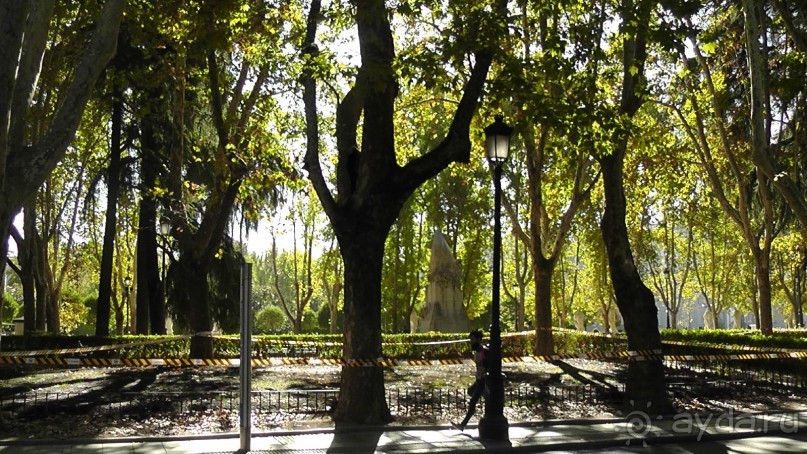 Мадрид. Вы прекрасны, мой король!