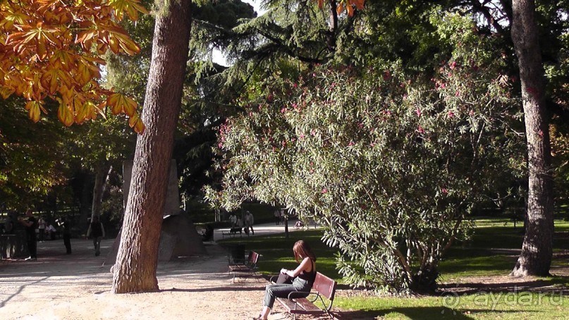 Мадрид. Вы прекрасны, мой король!