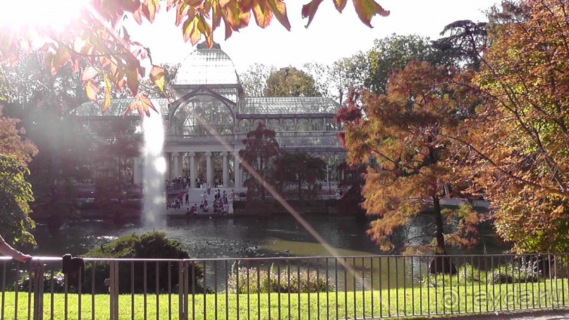 Мадрид. Вы прекрасны, мой король!