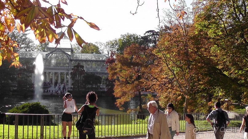 Мадрид. Вы прекрасны, мой король!