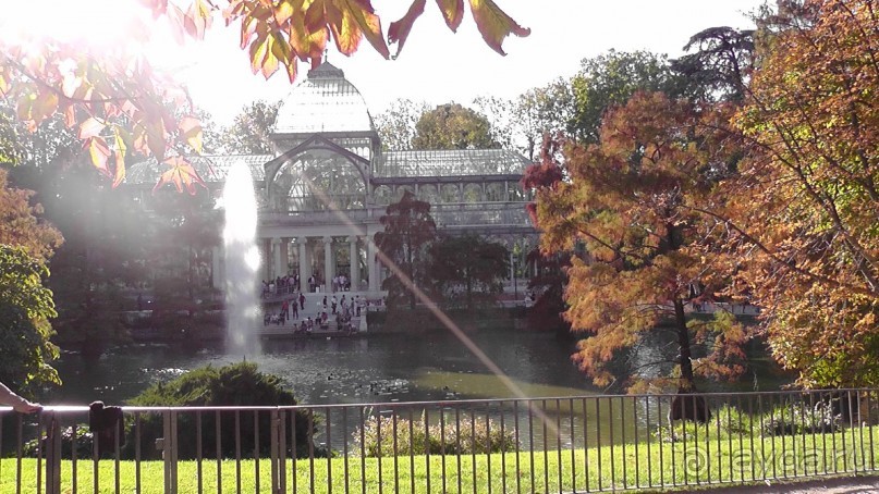 Мадрид. Вы прекрасны, мой король!