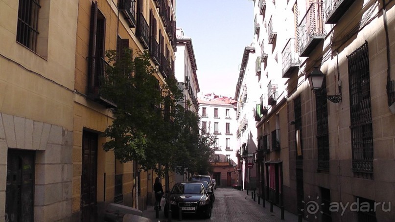 Мадрид. Вы прекрасны, мой король!