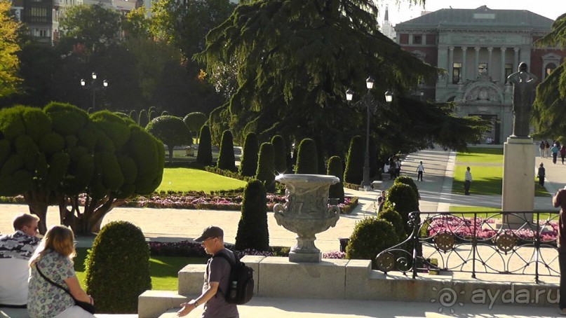 Мадрид. Вы прекрасны, мой король!