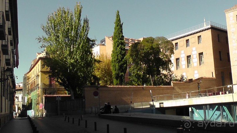 Мадрид. Вы прекрасны, мой король!