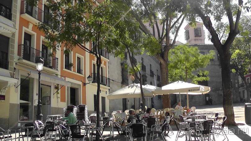 Мадрид. Вы прекрасны, мой король!