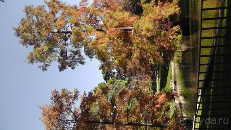 Мадрид. Вы прекрасны, мой король!