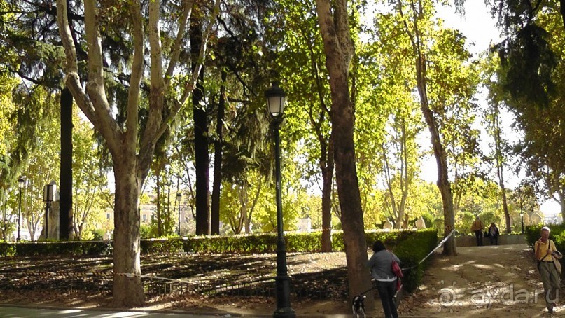 Мадрид. Вы прекрасны, мой король!