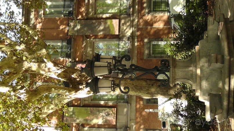 Мадрид. Вы прекрасны, мой король!