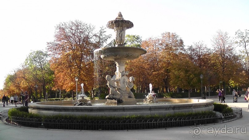 Мадрид. Вы прекрасны, мой король!