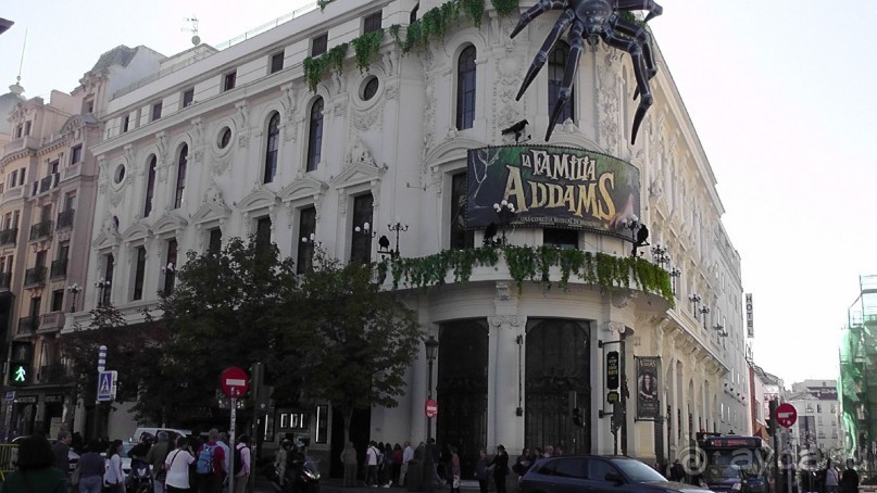 Мадрид. Вы прекрасны, мой король!