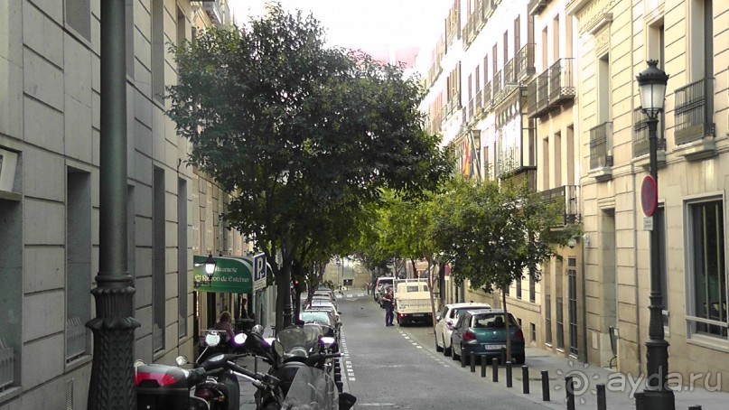 Мадрид. Вы прекрасны, мой король!