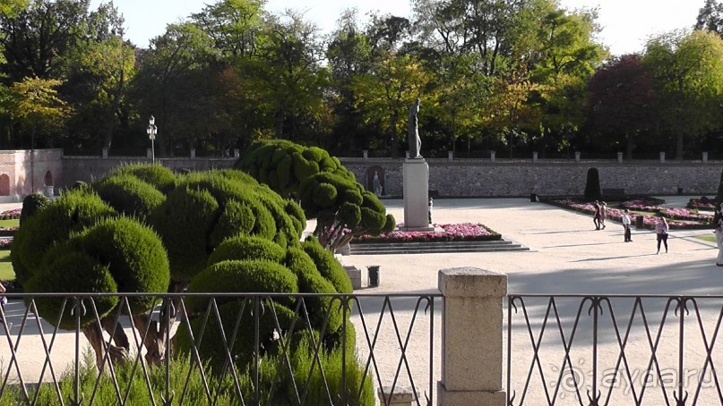 Мадрид. Вы прекрасны, мой король!