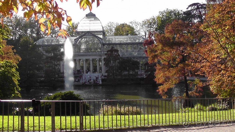 Мадрид. Вы прекрасны, мой король!