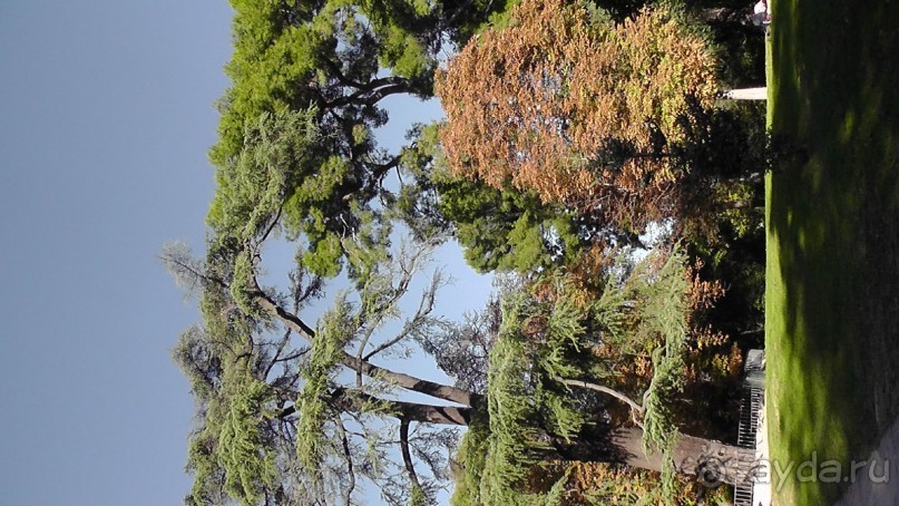 Мадрид. Вы прекрасны, мой король!