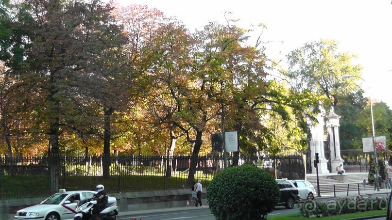 Мадрид. Вы прекрасны, мой король!